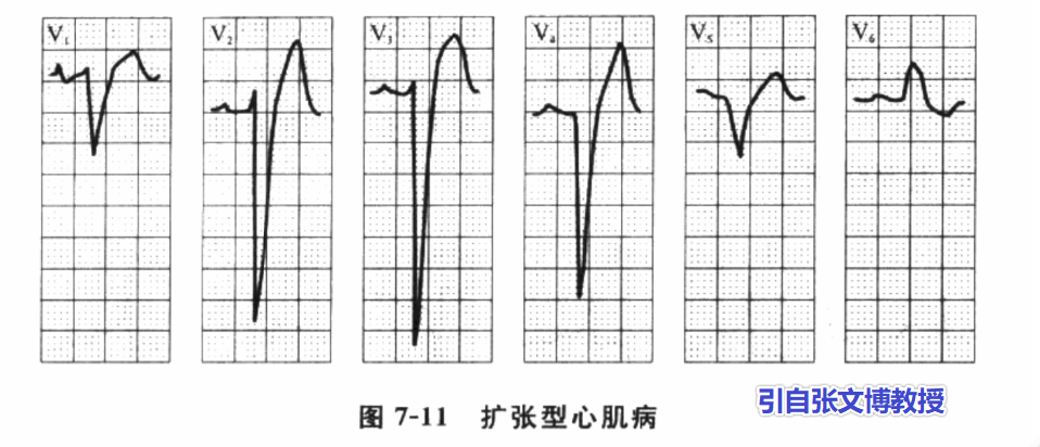 image004.png image004.png